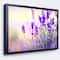 Designart - Purple Lavender Field - Floral Photography Framed Canvas Art Print